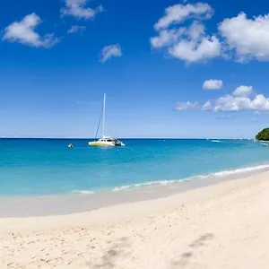 https://old-trees-halcyon.comcaribbean.com